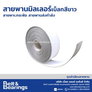 สายพานกระพ้อ&สายพานส่งกำลัง สีขาว
