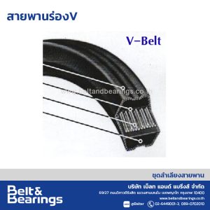 สานพานร่องวี V Belt