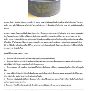 สายพาน(FoodGrade) ลำเลียงอาหาร สายพานข้าวนึ่ง SOFRA