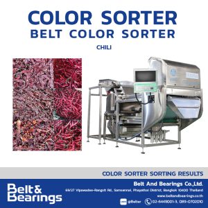 ANGELON COLOR SORTER CHILI