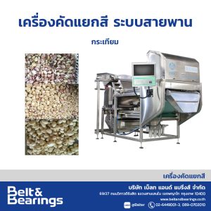 เครื่องคัดแยกสีกระเทียม GARLIC ANGELON COLOR SORTER