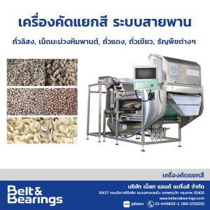 เครื่องคัดแยกสีเมล็ดมะม่วงหิมพานต์ ถั่วแดง ถั่วและ ธัญพืชต่างๆ CASHEW NUTS PEANUTS KIDNEY BEAN MUNGBEAN SOYBEAN COLOR SORTER