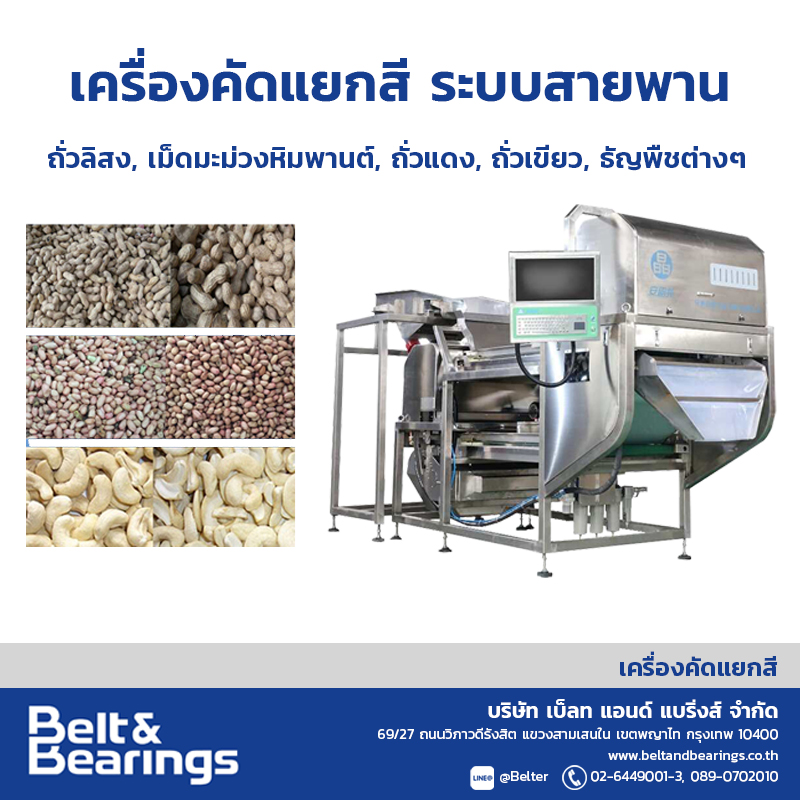 เครื่องคัดแยกสีเมล็ดมะม่วงหิมพานต์ ถั่วแดง ถั่วและ ธัญพืชต่างๆ CASHEW NUTS PEANUTS KIDNEY BEAN MUNGBEAN SOYBEAN COLOR SORTER