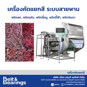 ANGELON COLOR SORTER CHILI