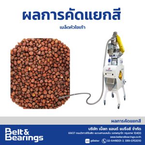 คัดแยกสีเมล็ดไชเท้า