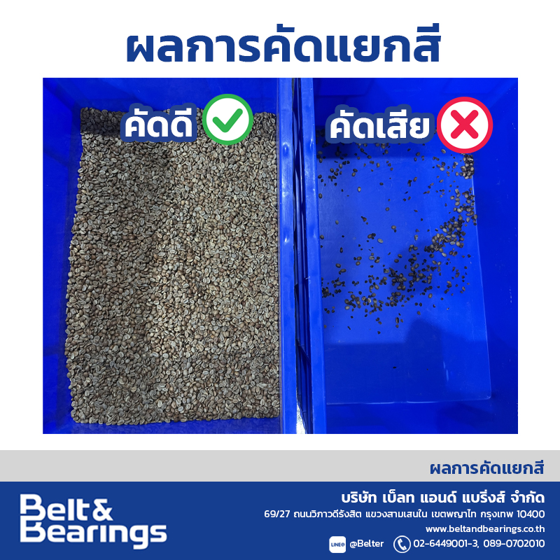 คัดแยกสีเมล็ดกาแฟ Arabica Robusta Coffee Color Sorter - Image 15