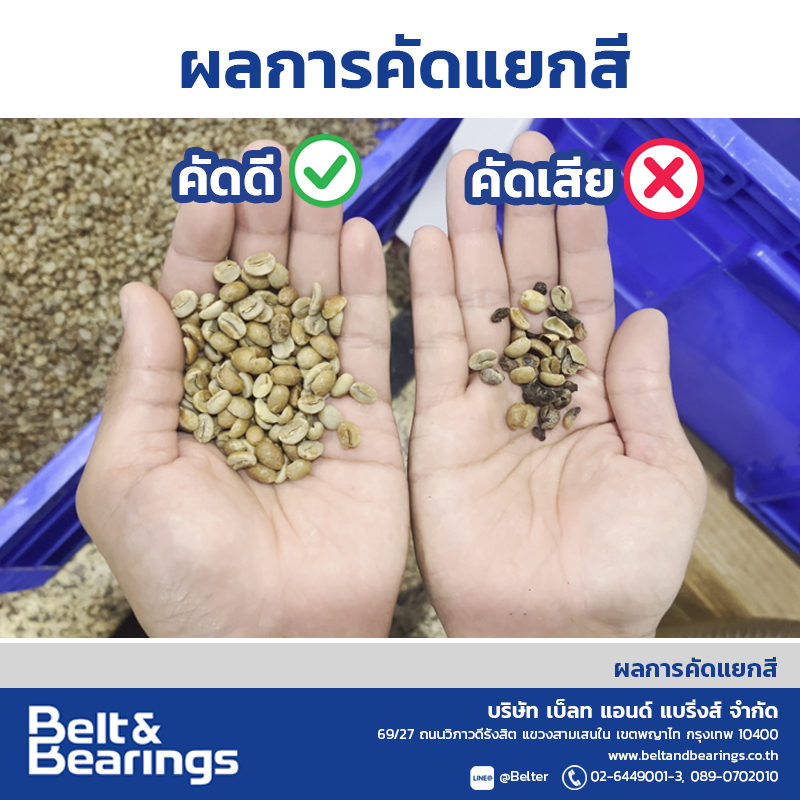คัดแยกสีเมล็ดกาแฟ Arabica Robusta Coffee Color Sorter - Image 16