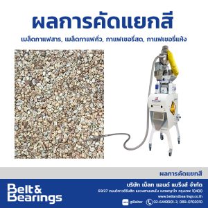 คัดแยกสีเมล็ดกาแฟ Arabica Robusta Coffee Color Sorter