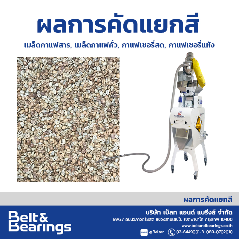 คัดแยกสีเมล็ดกาแฟ Arabica Robusta Coffee Color Sorter