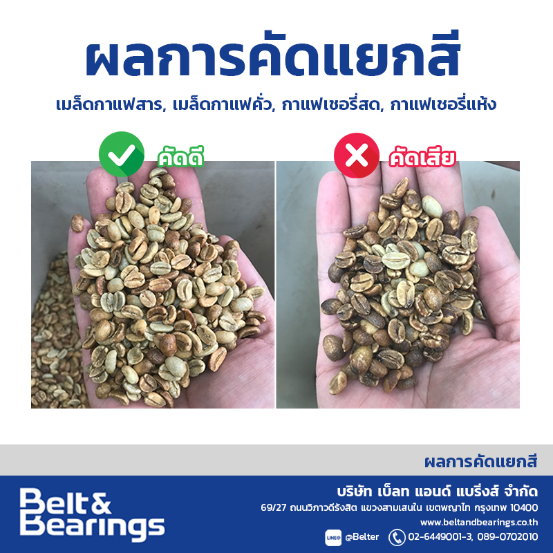 คัดแยกสีเมล็ดกาแฟ Arabica Robusta Coffee Color Sorter - Image 14