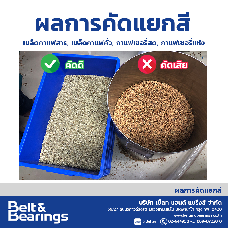 คัดแยกสีเมล็ดกาแฟ Arabica Robusta Coffee Color Sorter - Image 5