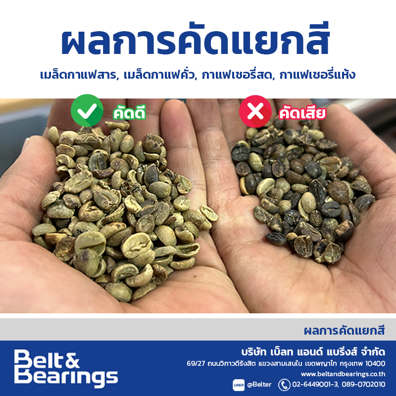 คัดแยกสีเมล็ดกาแฟ Arabica Robusta Coffee Color Sorter - Image 4