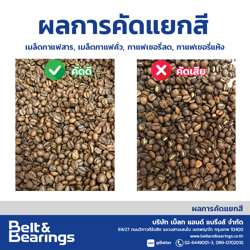 คัดแยกสีเมล็ดกาแฟ Arabica Robusta Coffee Color Sorter - Image 3