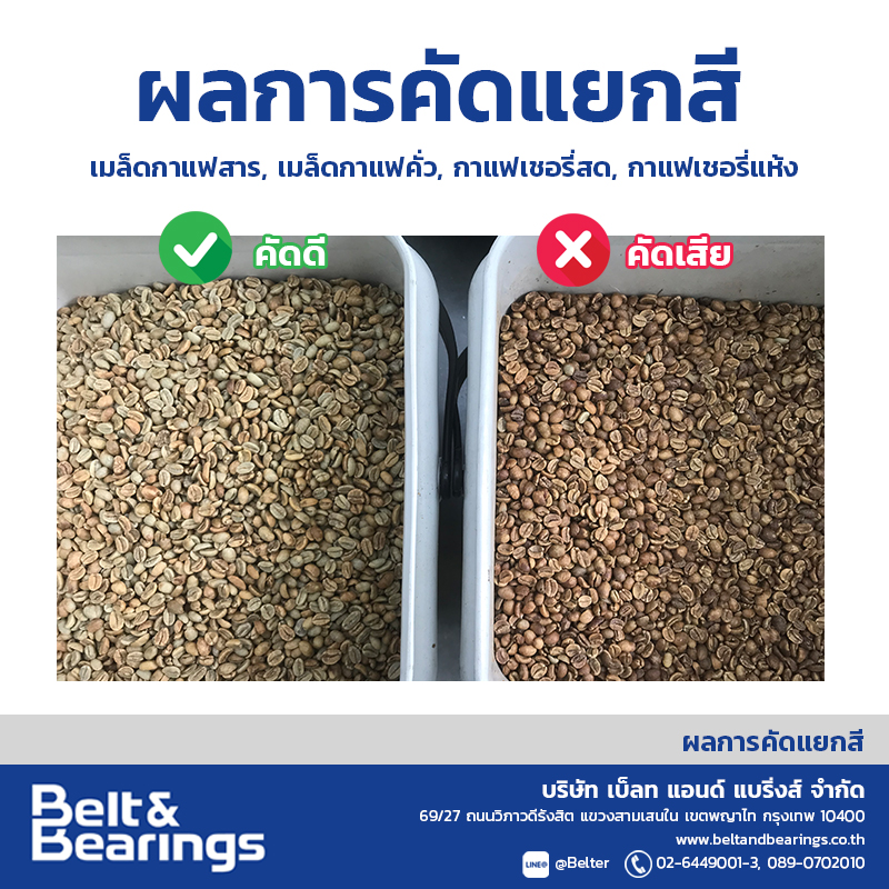 คัดแยกสีเมล็ดกาแฟ Arabica Robusta Coffee Color Sorter - Image 13