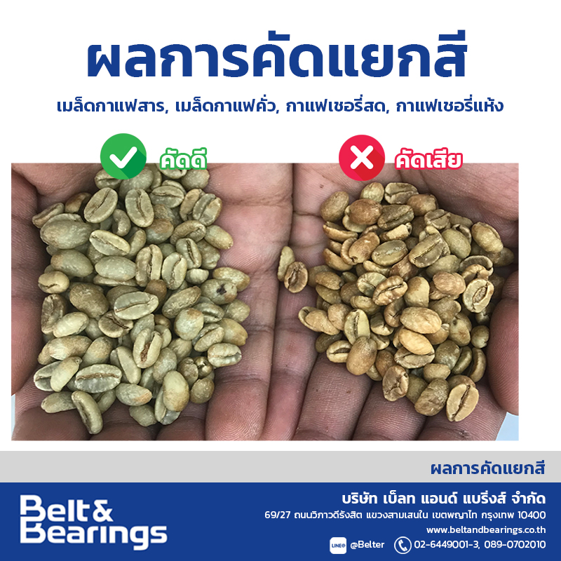 คัดแยกสีเมล็ดกาแฟ Arabica Robusta Coffee Color Sorter - Image 12