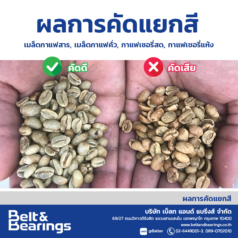 คัดแยกสีเมล็ดกาแฟ Arabica Robusta Coffee Color Sorter - Image 11