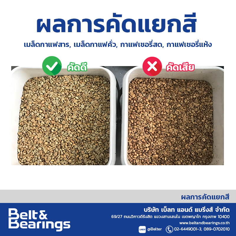 คัดแยกสีเมล็ดกาแฟ Arabica Robusta Coffee Color Sorter - Image 10