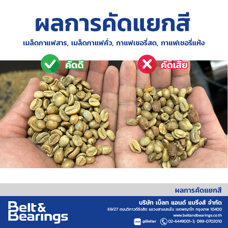 คัดแยกสีเมล็ดกาแฟ Arabica Robusta Coffee Color Sorter - Image 9
