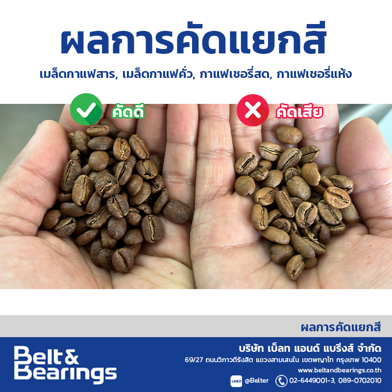 คัดแยกสีเมล็ดกาแฟ Arabica Robusta Coffee Color Sorter - Image 8
