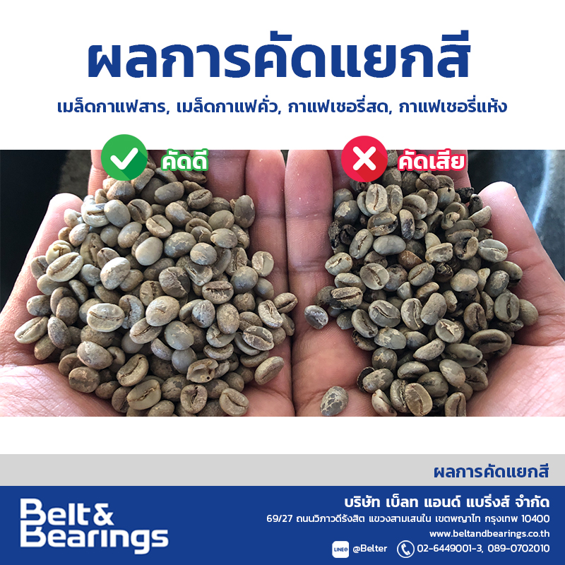 คัดแยกสีเมล็ดกาแฟ Arabica Robusta Coffee Color Sorter - Image 7