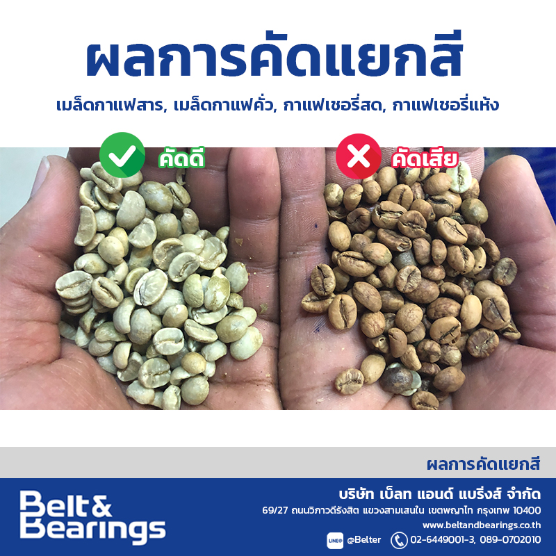 คัดแยกสีเมล็ดกาแฟ Arabica Robusta Coffee Color Sorter - Image 6