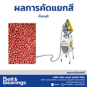 คัดแยกสีถั่วอะซูกิ