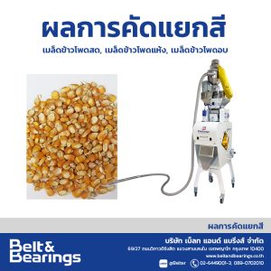 คัดแยกสีเมล็ดข้าวโพด