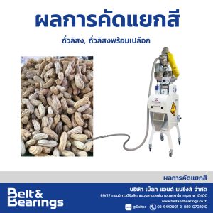คัดแยกสีถั่วลิสงพร้อมเปลือก
