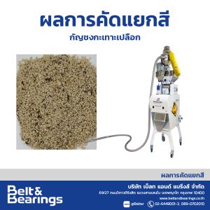 คัดแยกสีกัญชงกะเทาะเปลือก