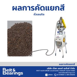 คัดแยกสีถั่วเลนทิล(Lentil)