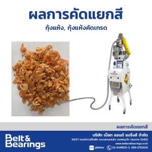 คัดแยกสีกุ้งแห้ง กุ้งแห้งคัดเกรด