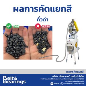 คัดแยกสีถั่วดำ