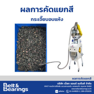 คัดแยกสีกระเจี๊ยบอบแห้ง