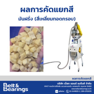 คัดแยกสีมันฝรั่ง มันฝรั่งทอดกรอบ