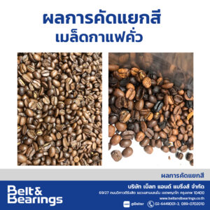 คัดแยกสีเมล็ดกาแฟคั่ว Roast Coffee Color Sorter