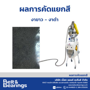 คัดแยกสีเมล็ดงา งาขาว-งาดำ