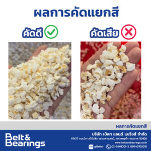 คัดแยกสีข้าวตอก ข้าวพอง