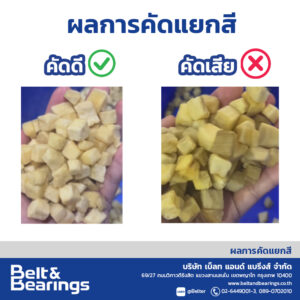 คัดแยกสีมันฝรั่ง มันฝรั่งทอดกรอบ