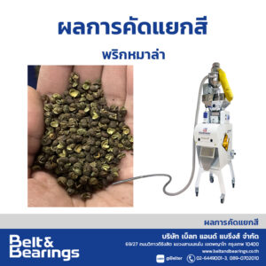 คัดแยกสีพริกหมาล่า