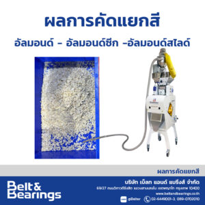 คัดแยกสีอัลมอนด์ อัลมอนด์สไลด์ อัลมอนด์ซีก