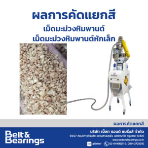 คัดแยกสีเมล็ดมะม่วงหิมพานต์ – เม็ดมะม่วงหิมพานต์หัก