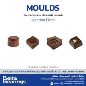 โมลด์ Moulds แม่พิมพ์ช็อกโกแลต
