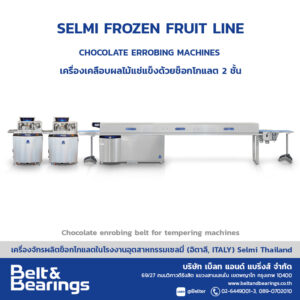 FROZEN FRUIT เครื่องเคลือบผลไม้แช่แข็งด้วยช็อกโกแลต 2 ชั้น